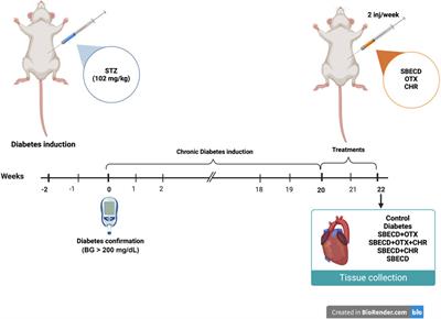 Chrysin-based supramolecular cyclodextrin-calixarene drug delivery system: a novel approach for attenuating cardiac fibrosis in chronic diabetes